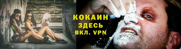 не бодяженный Алексин