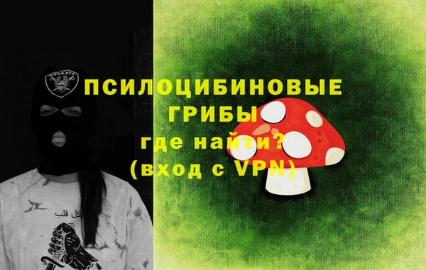 spice Алзамай