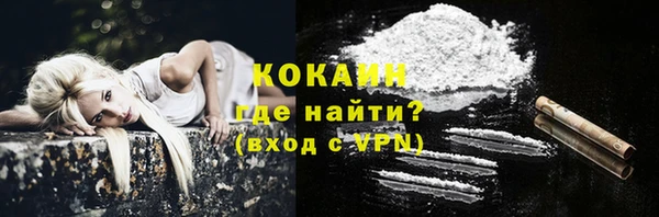 spice Алзамай