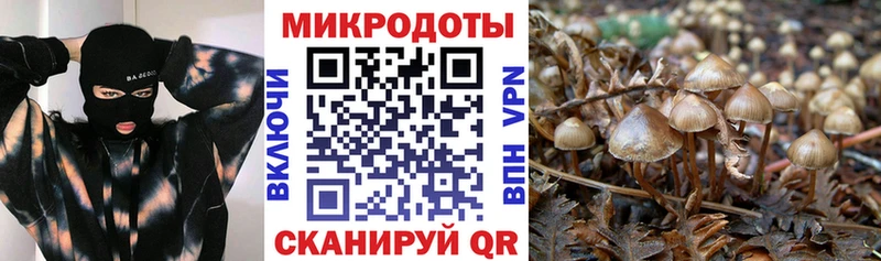 кракен ССЫЛКА  Мичуринск  Псилоцибиновые грибы прущие грибы 