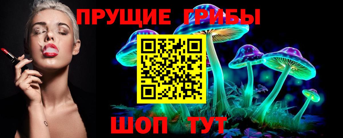 Мичуринск  Псилоцибиновые грибы Cubensis  Вход с VPN 